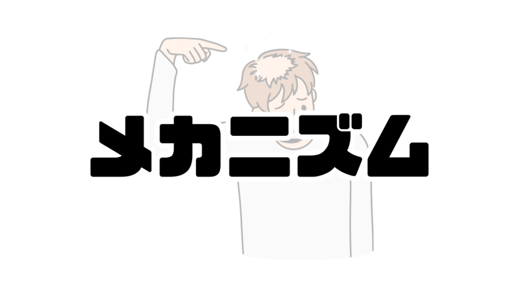 髪が薄くなるメカニズム