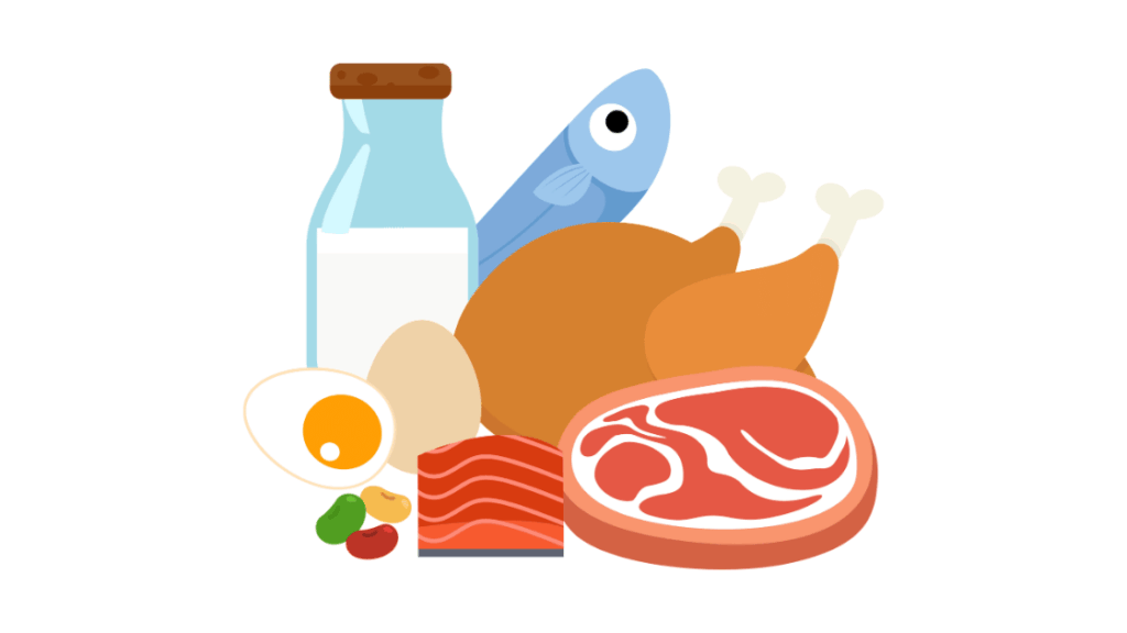 良質なたんぱく質