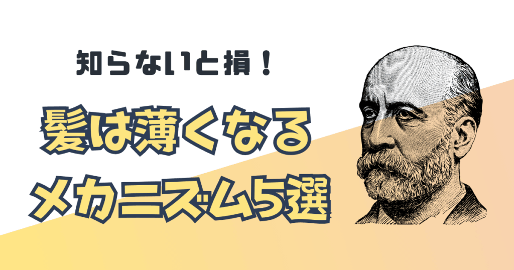 なぜ髪は薄くなる？知らないと損するメカニズム5選