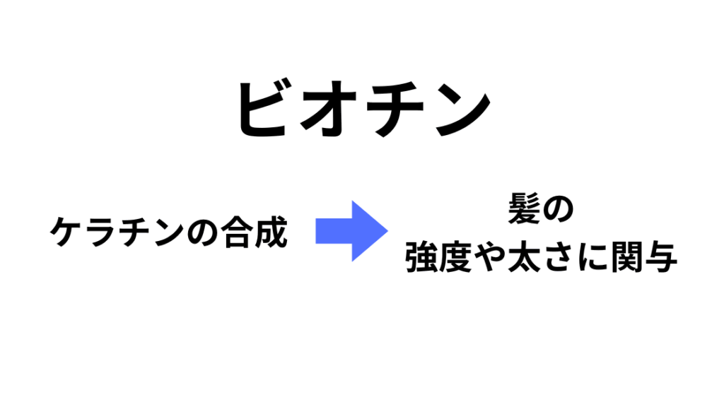 ビオチン
