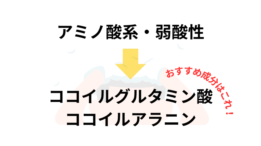 洗浄成分（アミノ酸系、弱酸性が◎）