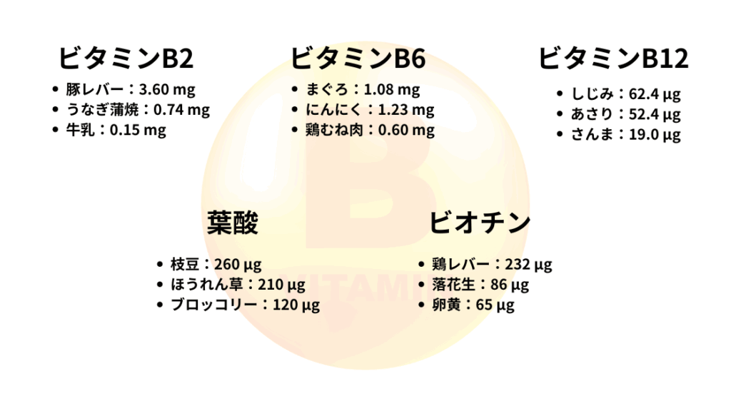 ビタミンB群（頭皮の代謝）