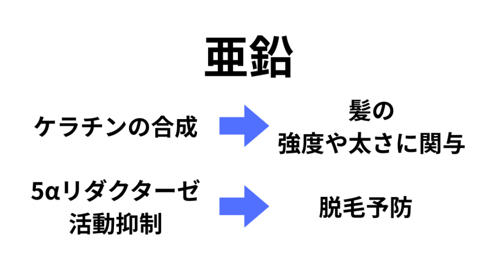 亜鉛亜鉛が薄毛にもたらす効果を説明