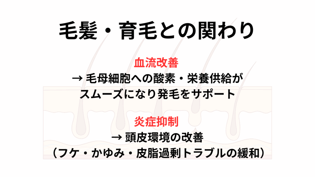 毛髪・育毛との関わり