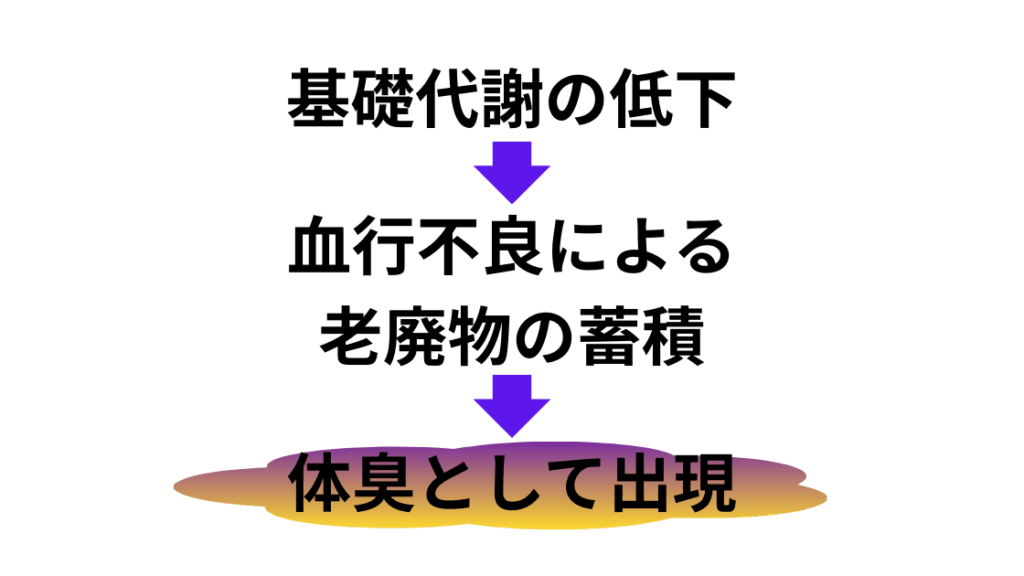 基礎代謝の低下 → 血行不良による老廃物の蓄積