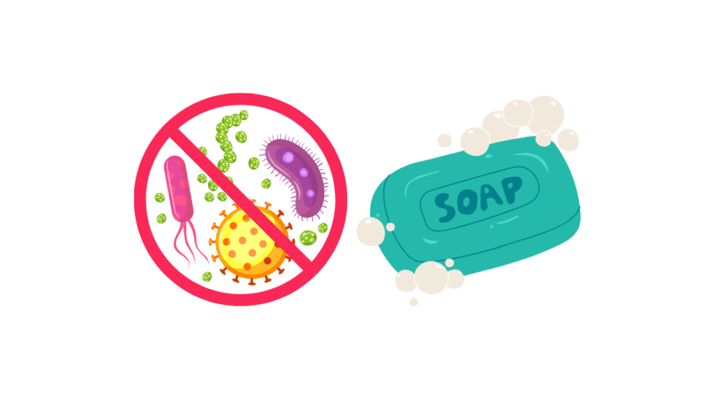 消臭・抗菌成分
