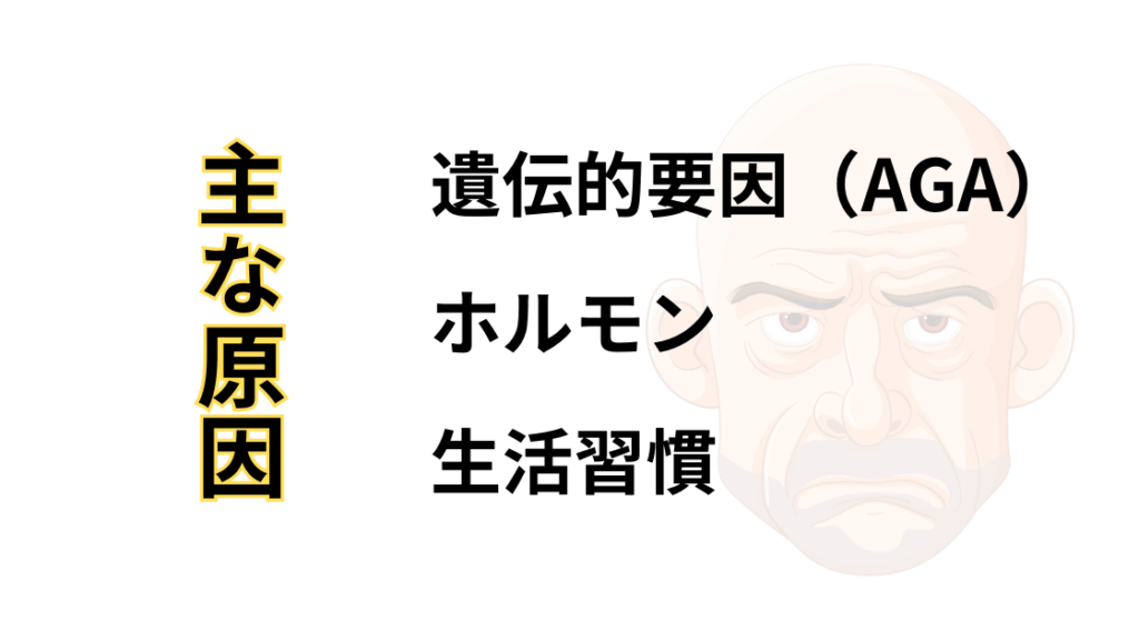 薄毛の主な原因