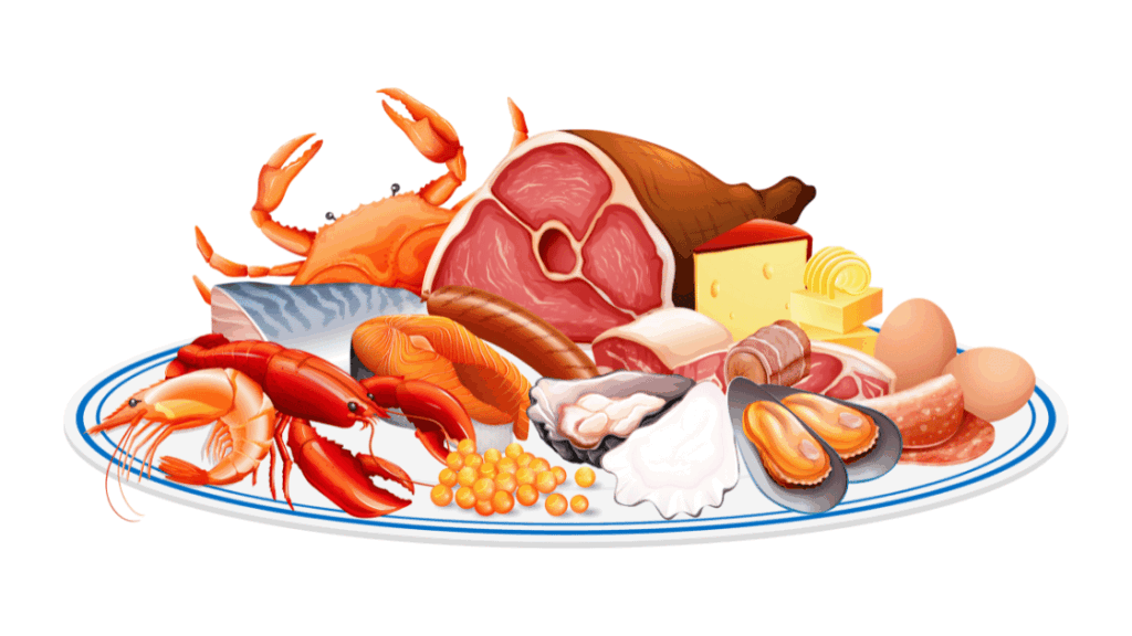 良質なたんぱく質と脂質