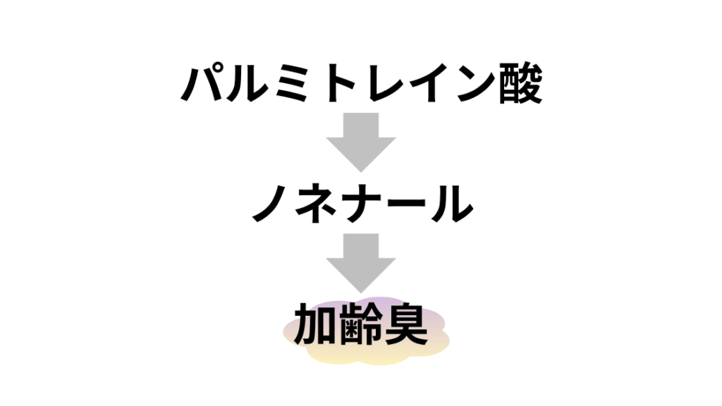 皮脂成分の変化