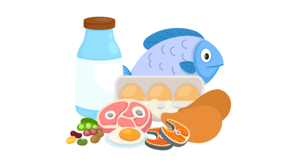 良質なタンパク質（魚・大豆製品・鶏肉）